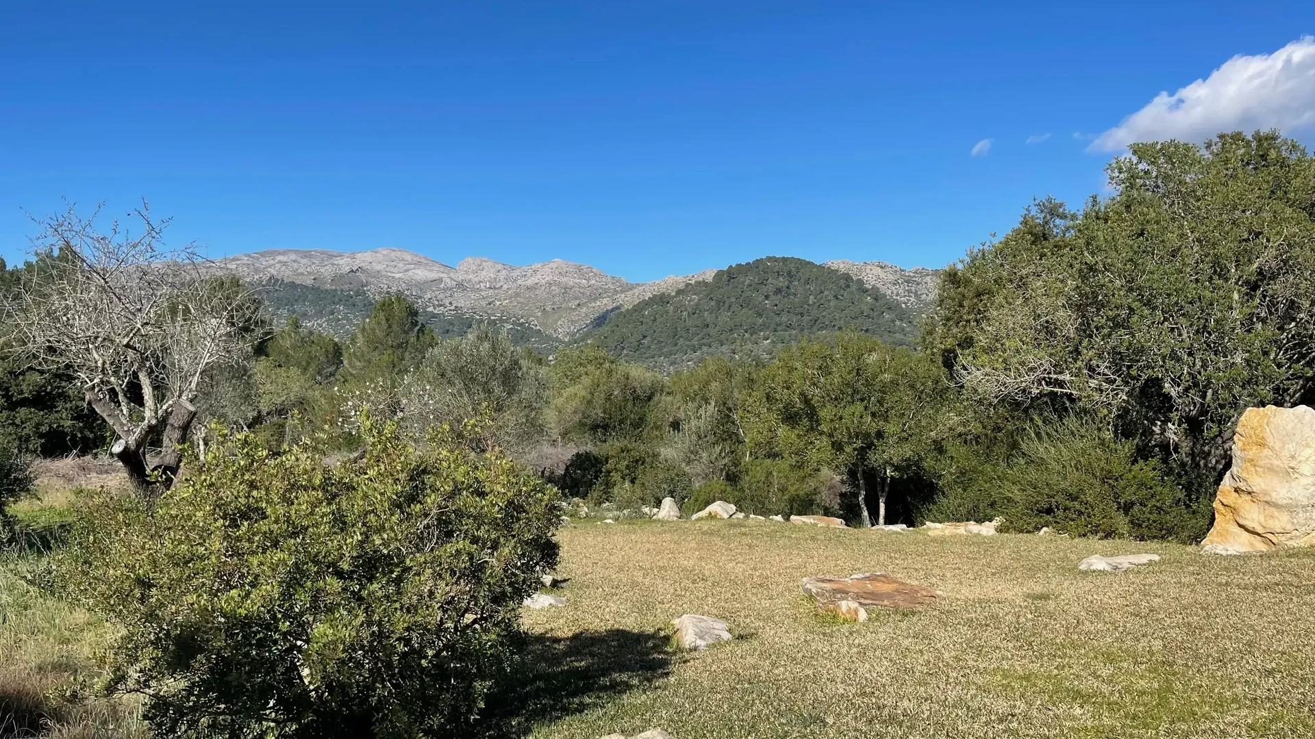 Tramuntana Mountain hills at La Serrania, Mallorca
