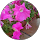 Constance Cluset profile picture